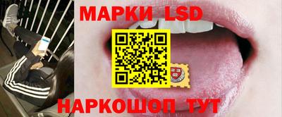 индика Можга