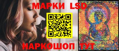индика Можга