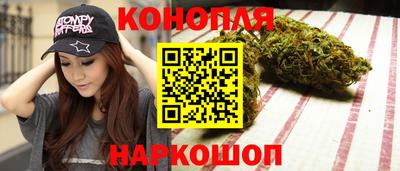 индика Можга
