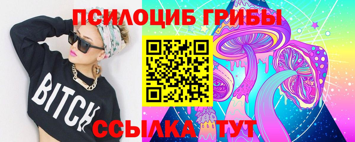 Галлюциногенные грибы MAGIC MUSHROOMS Великий Устюг